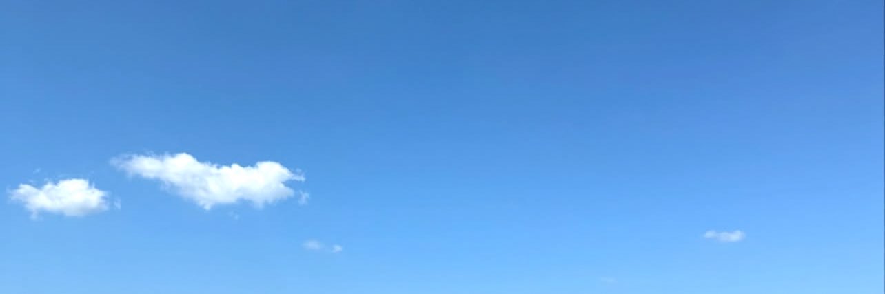 Sam's banner