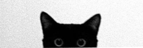 Jennifer Parker's banner