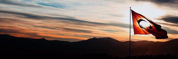 Elif Özkan's banner