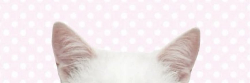 ゆのん's banner