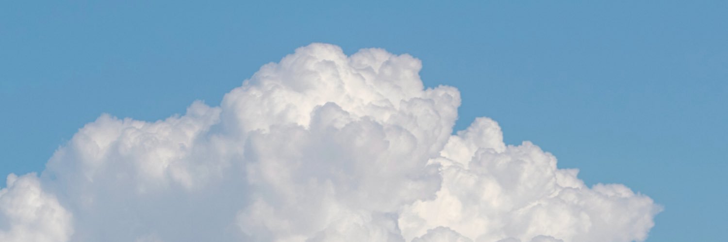 mitchyyoshirin's banner