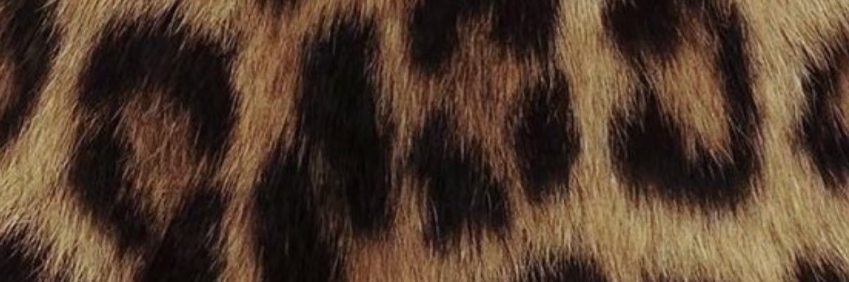𝐿𝓊𝓃 🌸's banner