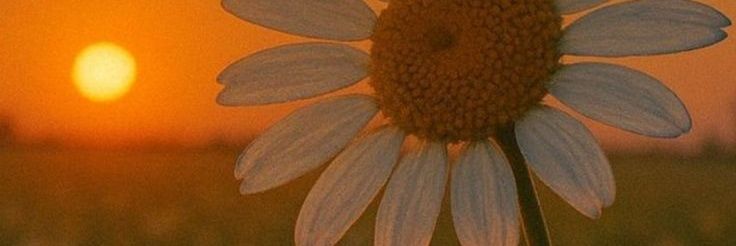^'s banner