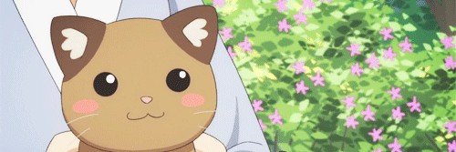 🖤ℕ𝕚𝕜𝕠🖤🐈‍⬛'s banner