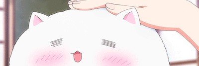 𔘓 ֹ ℕ𝕚𝕜𝕚𓂅 ̼/•᷅‎‎•᷄\੭🇨🇱's banner