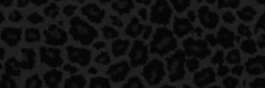 lizaa's banner