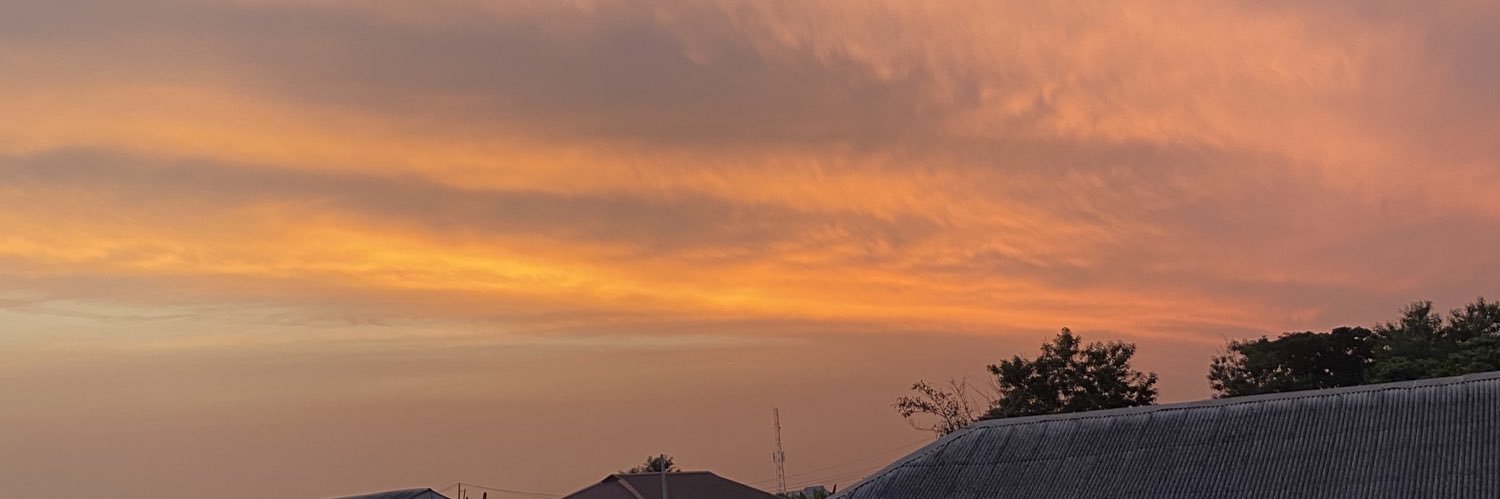 nasa's banner