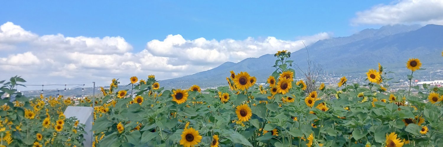 lolitaa🌻's banner