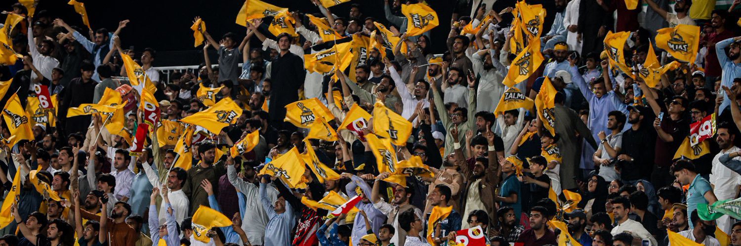 We Are Zalmi's banner