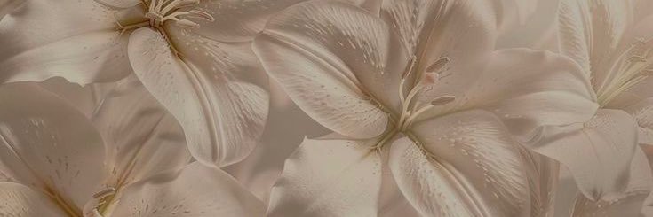 Miss Toni's banner