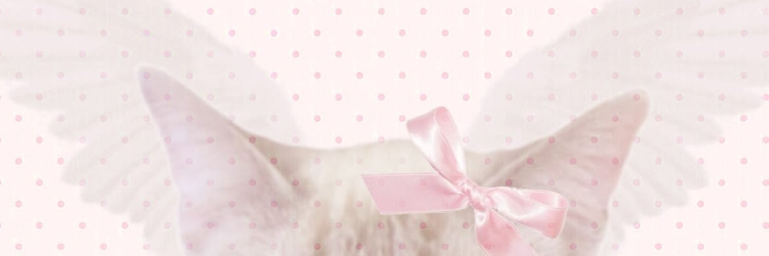 こんぺいとう's banner