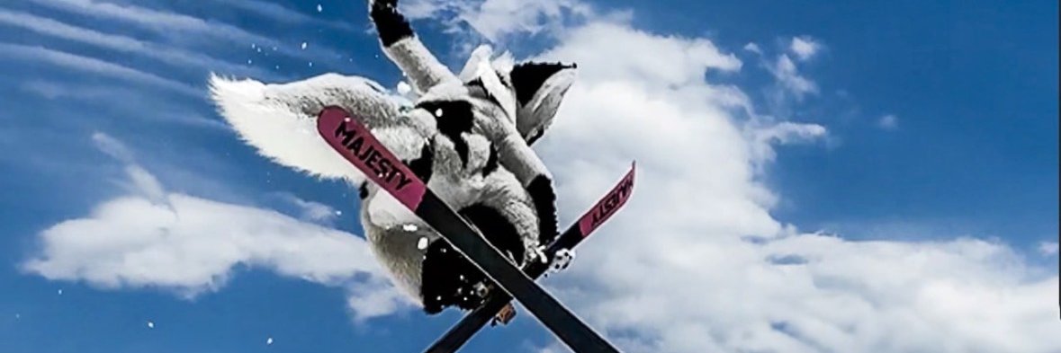 LEN the Snow Fox's banner
