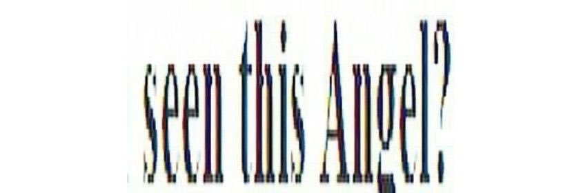 ein's banner