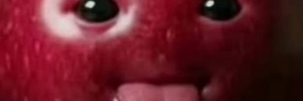 RavenRags's banner
