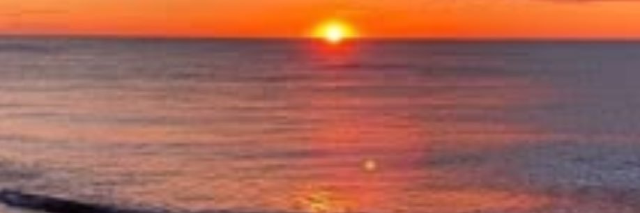 violeta 🧚🏻's banner