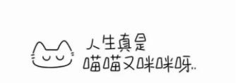 池崽's banner