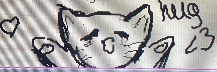 boxed's banner