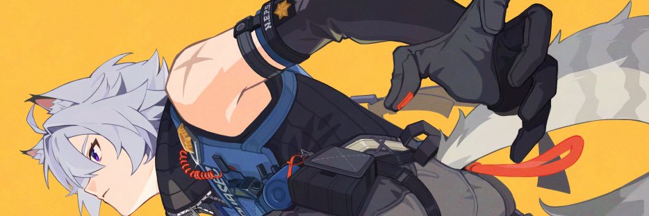 大白诺斯🐺🐱's banner