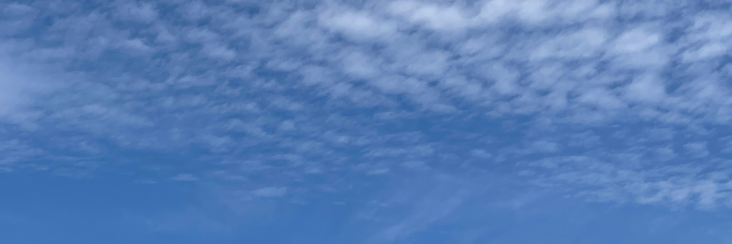 ポケットに入れたい天使たち's banner