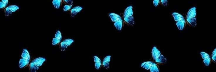🦋🦋's banner