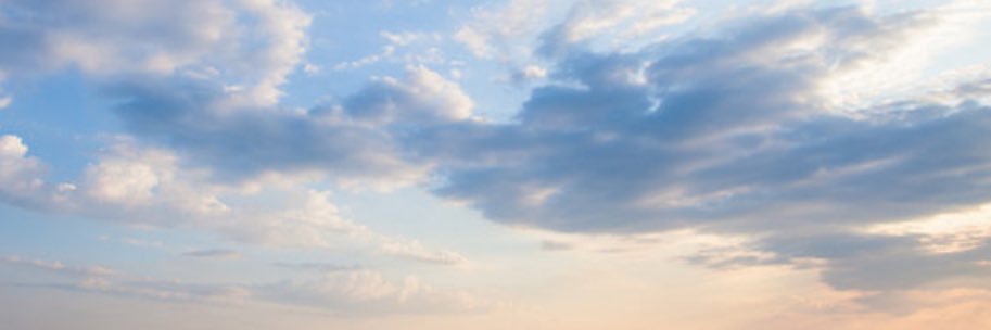 violetta's banner