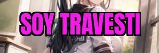 Travesti Priscila's banner