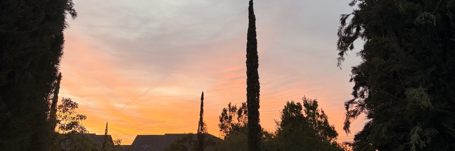 LOWKEYTHICC#2🍑's banner