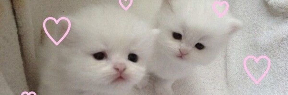bgettingthere 🏳️‍⚧️'s banner