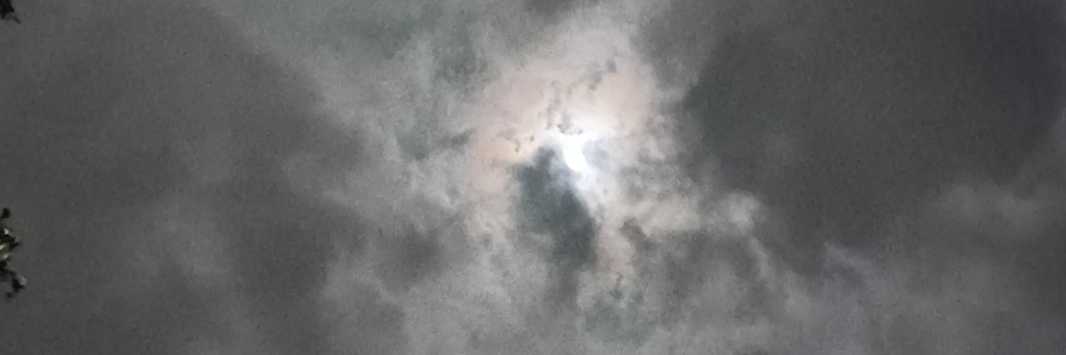 STAU's banner