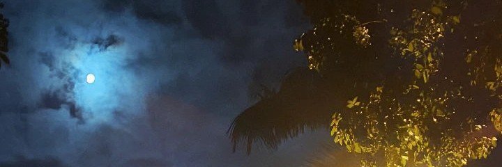 STAU's banner