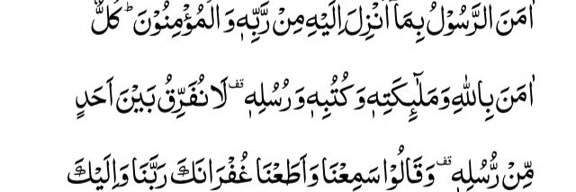 Muhammad Asim Naseer's banner