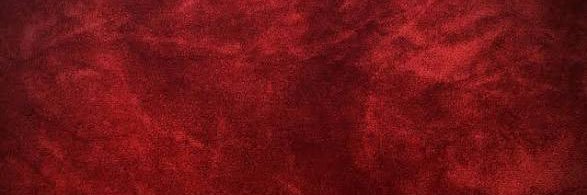 Blaze®️'s banner