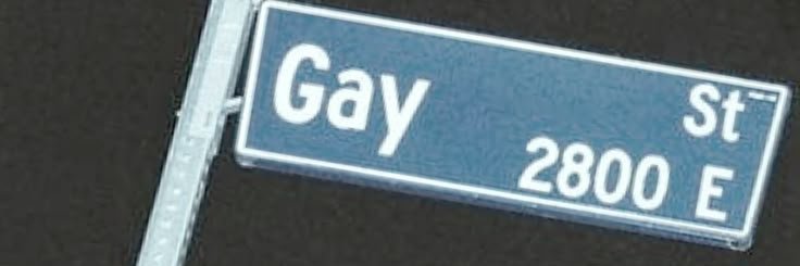 Gay Internet's banner