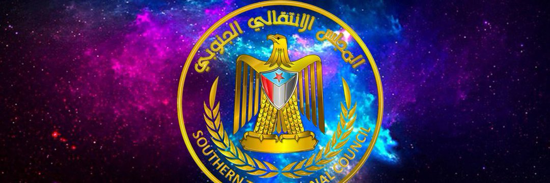 صالح فضل's banner