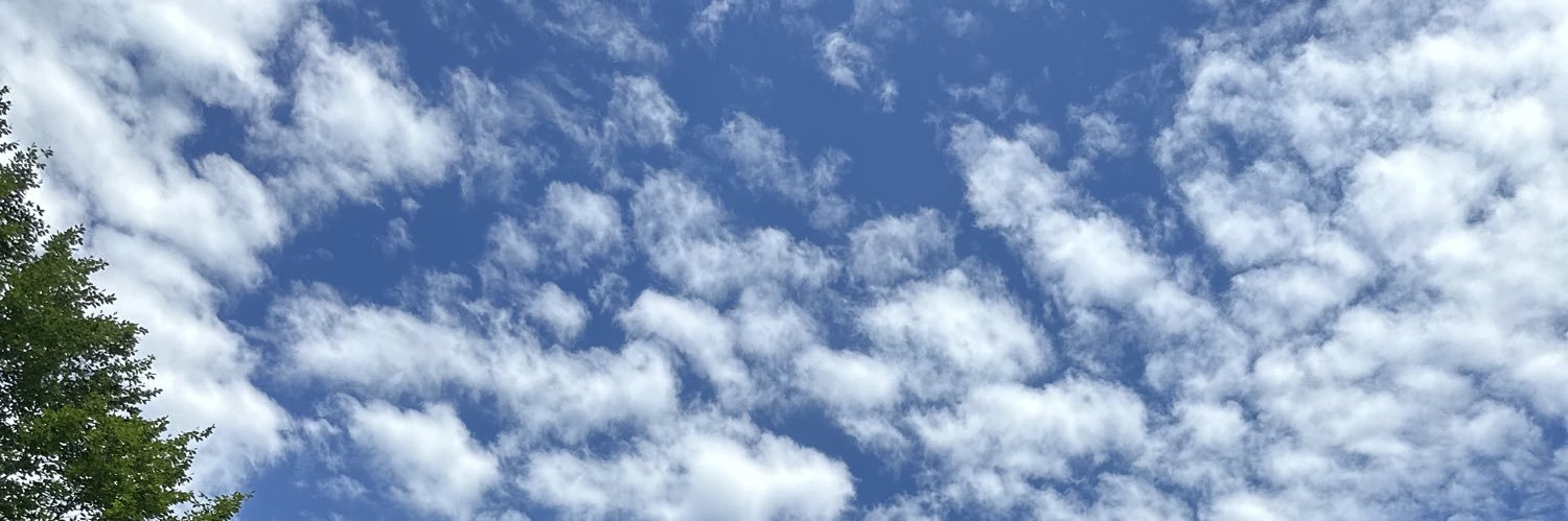 Çağla's banner