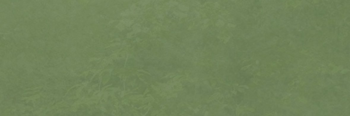 nisea ᖭི༏ᖫྀ's banner