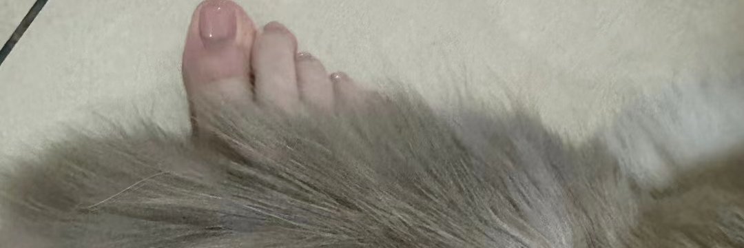 清雨's banner