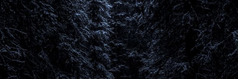 Sab ★'s banner