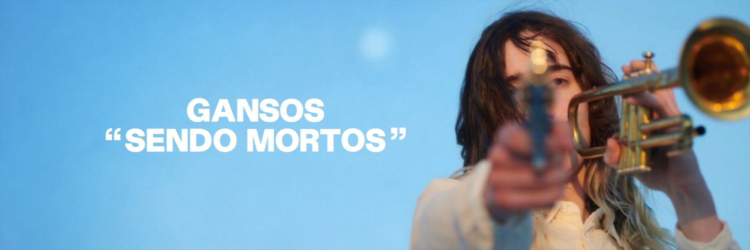 Acervo Geese's banner