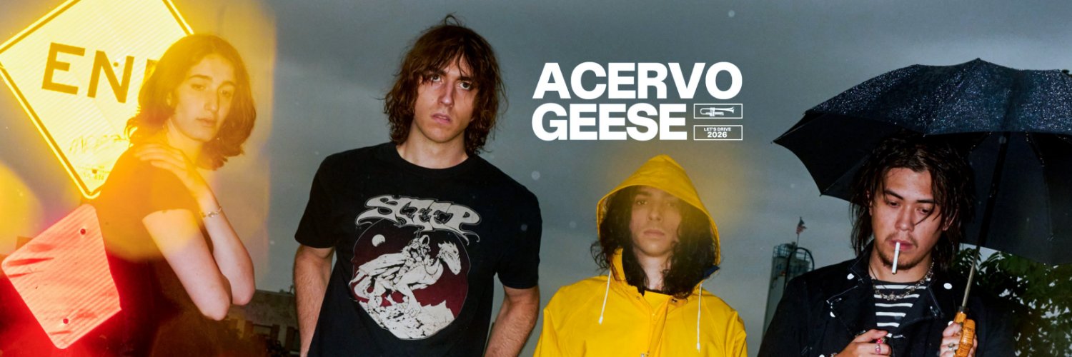 Acervo Geese's banner