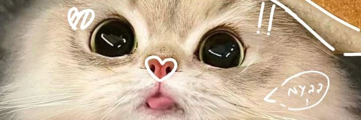 Suzuuumeom's banner