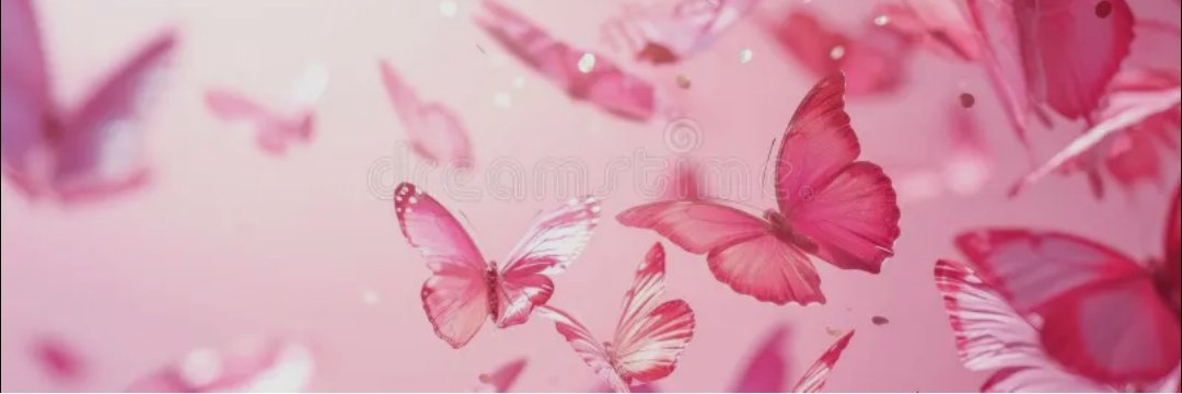 🦋's banner