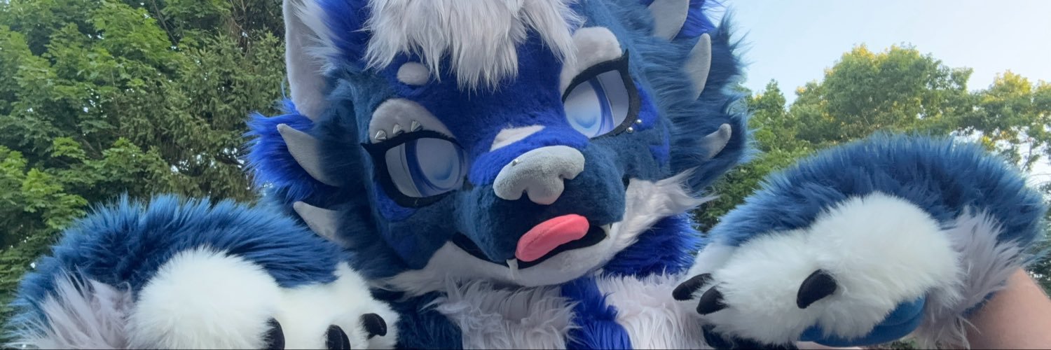 gruffy💙🧸🔜 Furpoc's banner