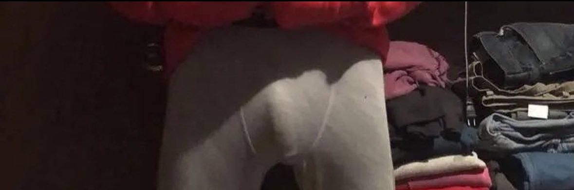 DL ARCHIVES 🍆's banner