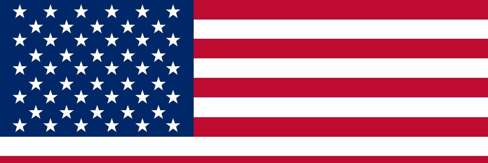 Maverick's banner
