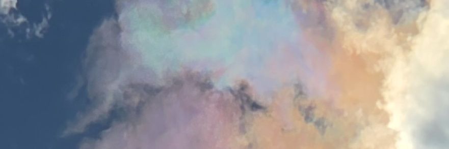 Chrissy's banner