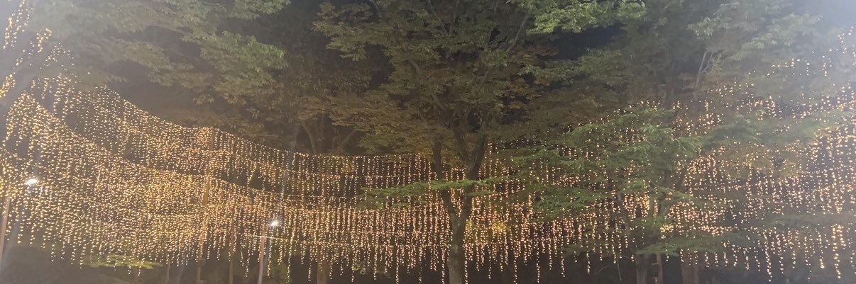 ✨별빛🌟청하✨'s banner