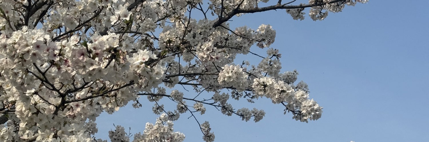 浅眠→TK优选's banner