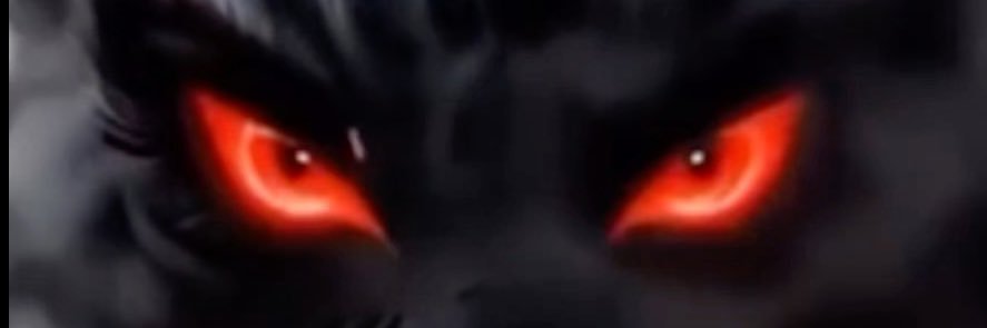 F E R Y's banner
