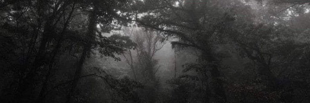 tess♡'s banner